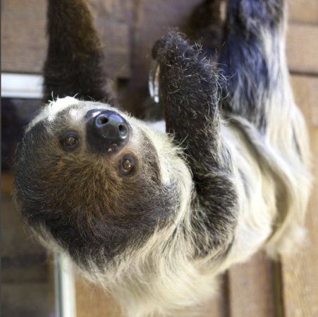 Wildlife Learning Center